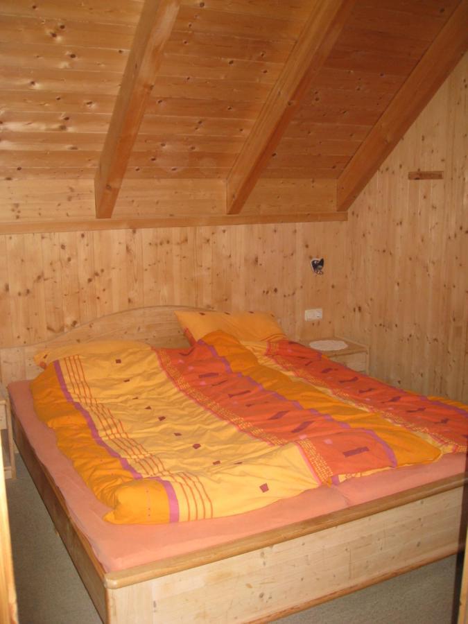 Alpenferienhaus Kreischberg Sankt Lorenzen ob Murau Extérieur photo
