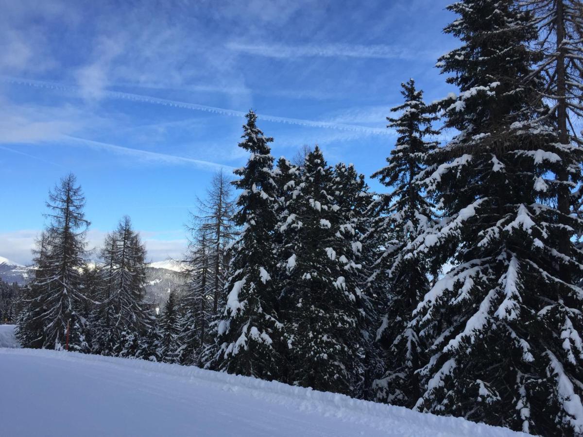Alpenferienhaus Kreischberg Sankt Lorenzen ob Murau Extérieur photo