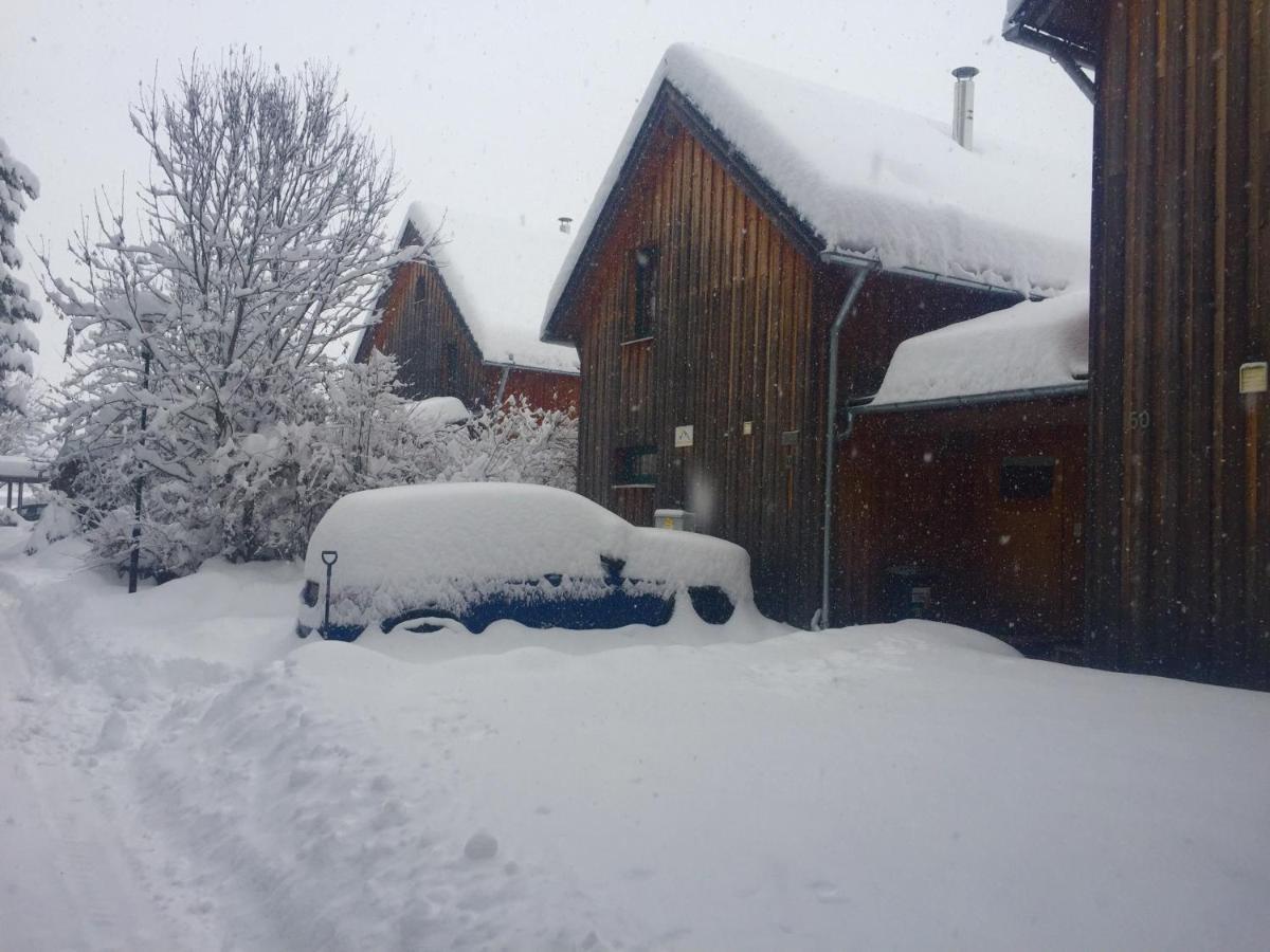 Alpenferienhaus Kreischberg Sankt Lorenzen ob Murau Extérieur photo
