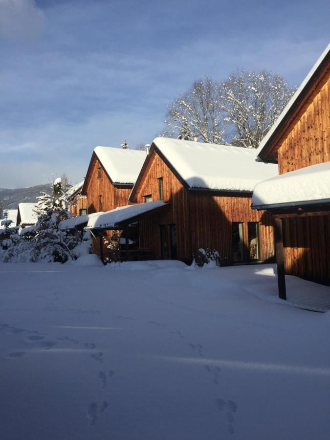 Alpenferienhaus Kreischberg Sankt Lorenzen ob Murau Extérieur photo