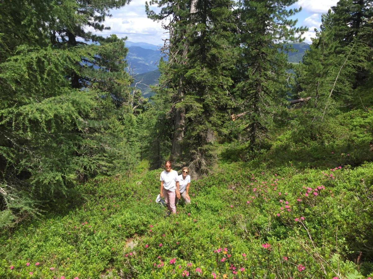 Alpenferienhaus Kreischberg Sankt Lorenzen ob Murau Extérieur photo