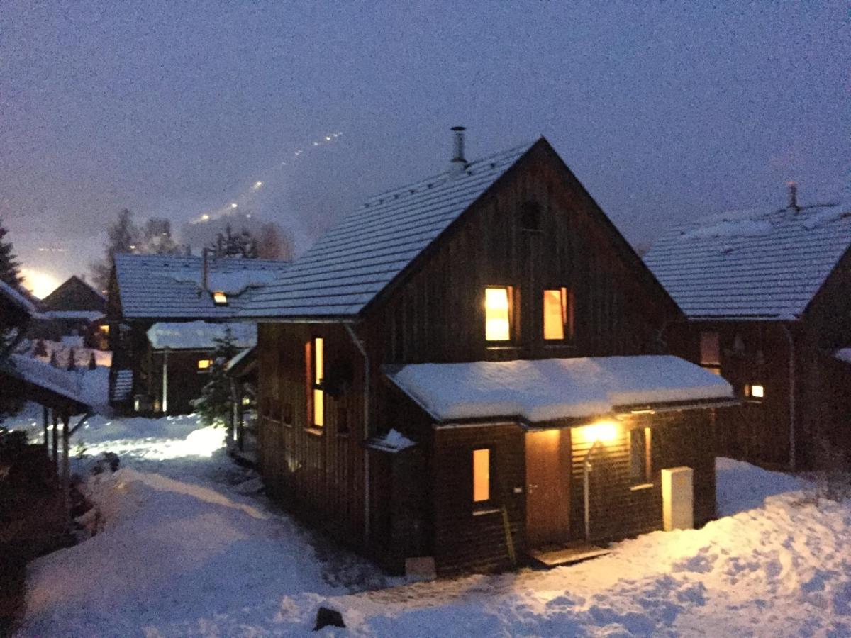 Alpenferienhaus Kreischberg Sankt Lorenzen ob Murau Extérieur photo
