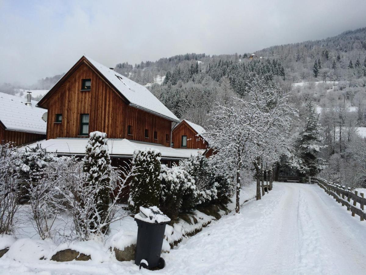 Alpenferienhaus Kreischberg Sankt Lorenzen ob Murau Extérieur photo