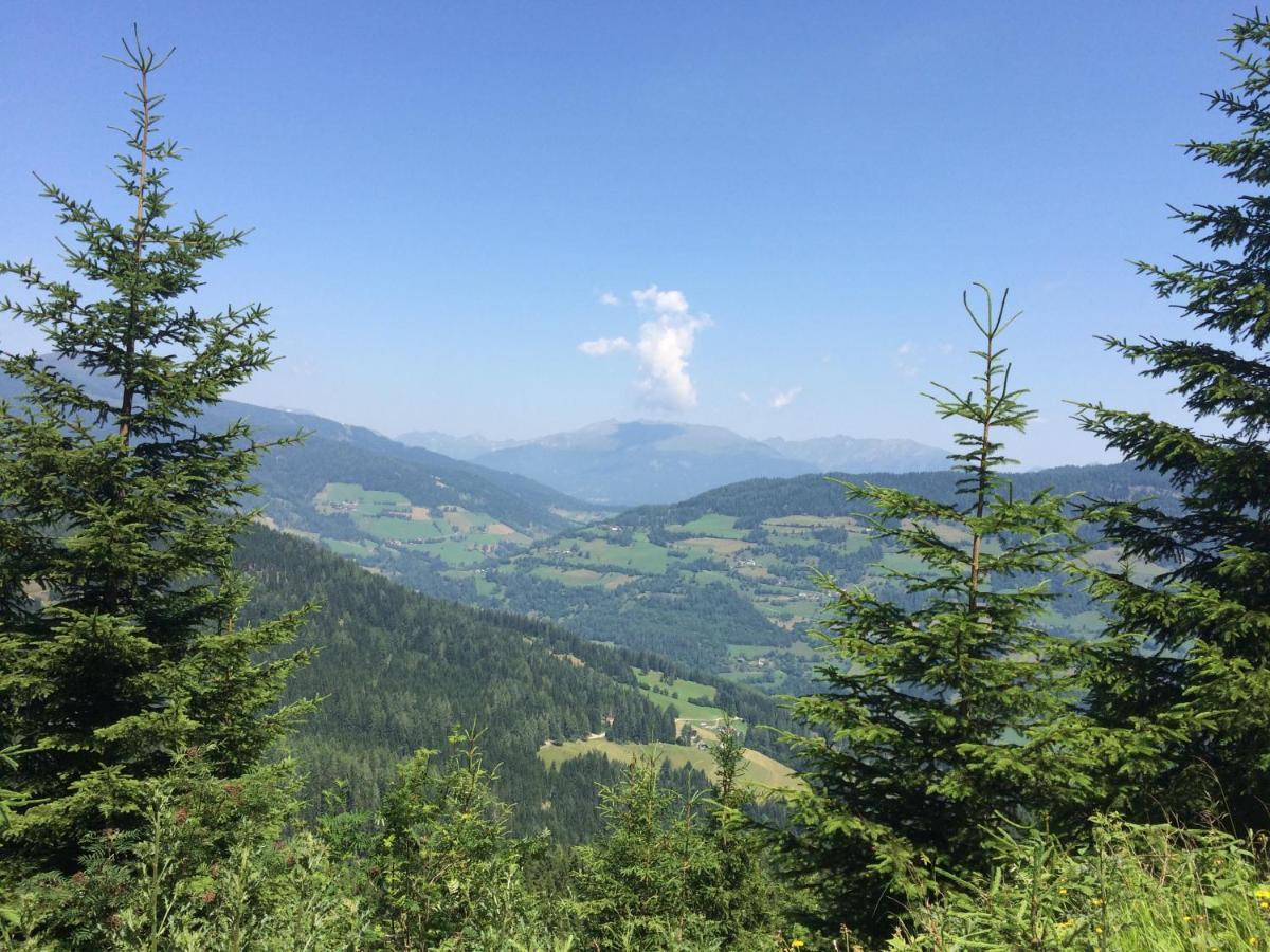 Alpenferienhaus Kreischberg Sankt Lorenzen ob Murau Extérieur photo